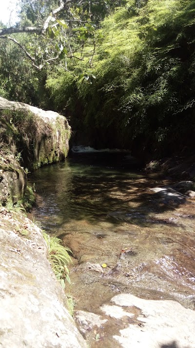 Photos of Reserva Cient&iacute;fica &Eacute;bano Verde: Centro de visitantes
