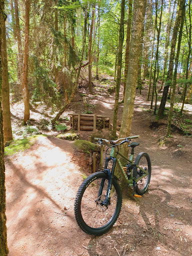Freeridepark Trassem - Thumbnail