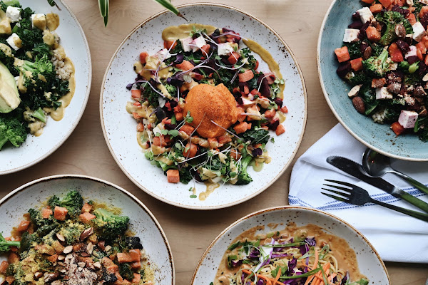 Life Alive Organic Cafe South End — breakfast spots in Boston