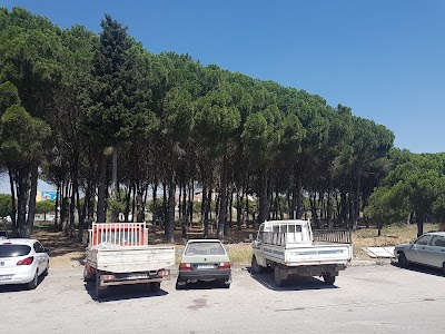 Photos of Green Areas Picnic Place
