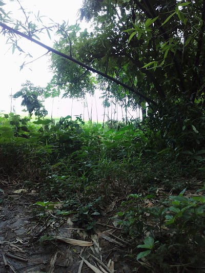 Photos of Kalia Beel