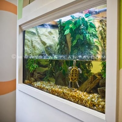 Southeast Aquariums