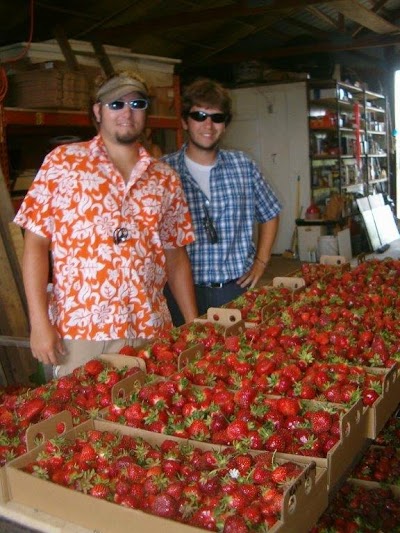 Photos of Berryland-Pumpkins