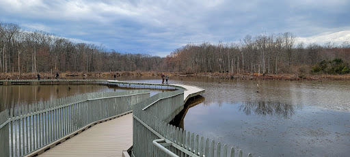 Observation Platform 2 - Visual