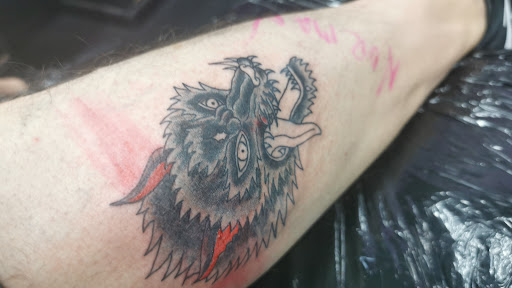 Kitty Ink - Visual