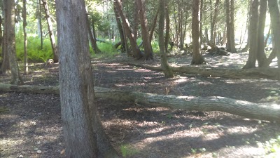 Photos of Betsie Valley Sales & Service