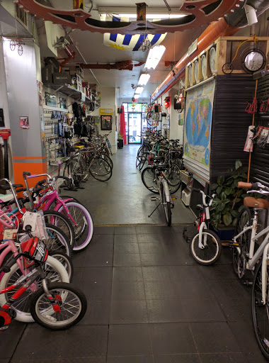 Bucephalus Bikes - Visual