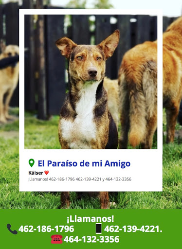 El Paraíso de mi Amigo - Salamanca, Gto.
