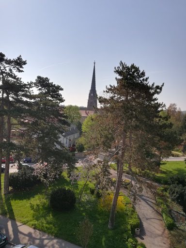 Cölln - Visual
