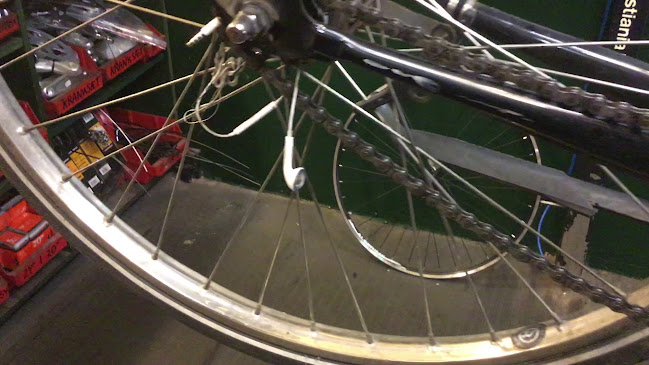 Opinii despre Saxil Cykler Østerbro în Bispebjerg - Cykelbutik