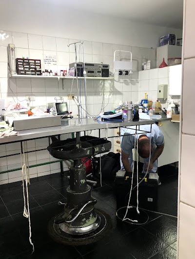 Photos of South Veterinary Clinic