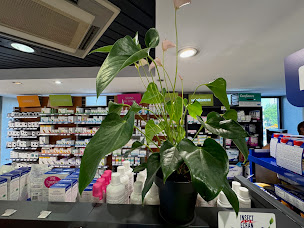 Photo n°19 de Pharmacie de la Sambre à Jeumont (Magasin de matériel médical)