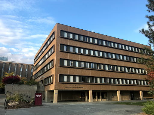 Hulbert Hall - Visual