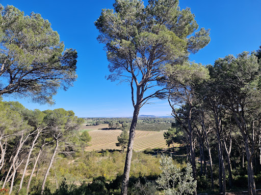 Parc départemental de Bessilles - Thumbnail