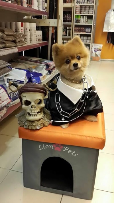 Photos of Pets Veterinary Clinic
