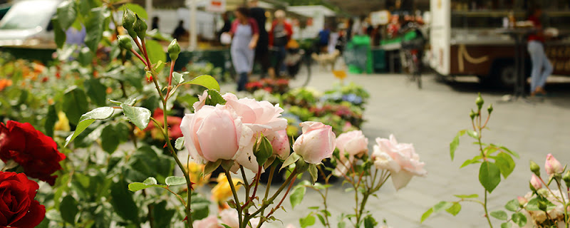 Wochenmarkt Wulsdorf photo