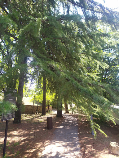 Montirone - Visual