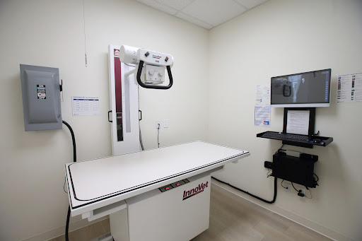 Grace Animal Hospital | Downey - Thumbnail