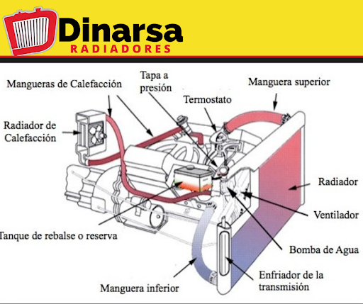 Dinarsa - Visual
