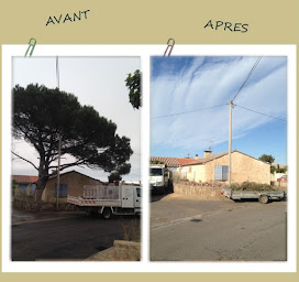 Photo n°7 de Team Elagage à Port-la-Nouvelle (Service d'élagage)