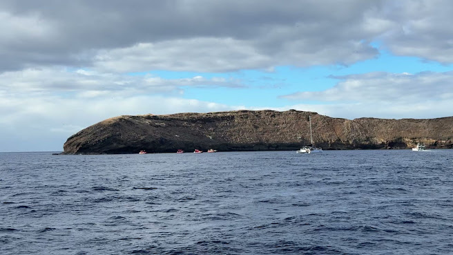 Molokini by null