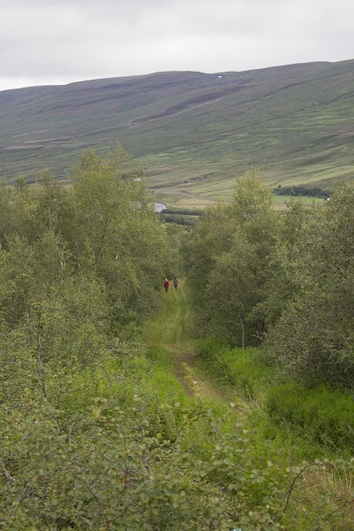 Photos of Vaglask&oacute;gur Forest
