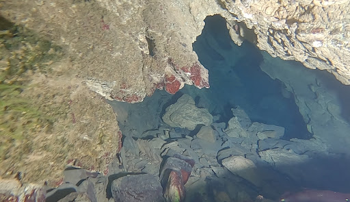 Nacimiento Río Boullón
