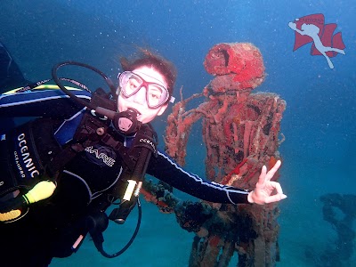 Photos of Buceo Cartagena Divers