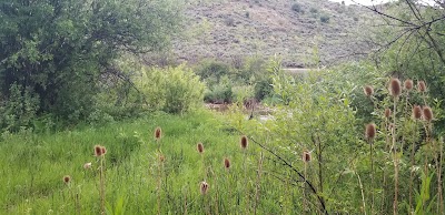 Lower Meadows Campground