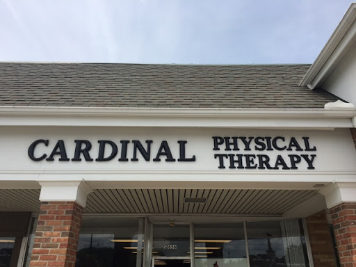 Cardinal Physical Therapy - Thumbnail
