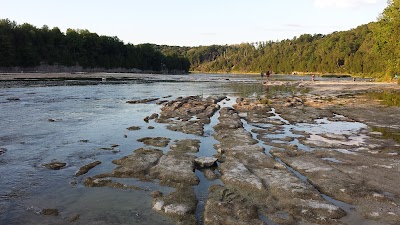 Photos of Falls Reserve Conservation Area