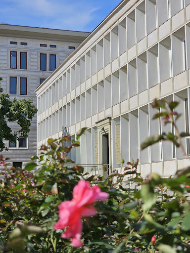 Akademia Motywacji i Edukacji