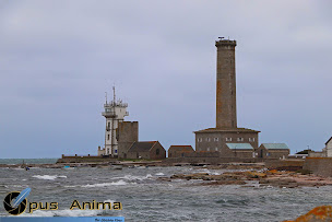 Photo n°10 de Ghislaine FEREC à Locronan (Photographe)