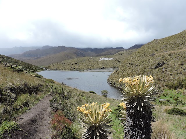 Cabaña Parques Nacionales Laguna del Otun