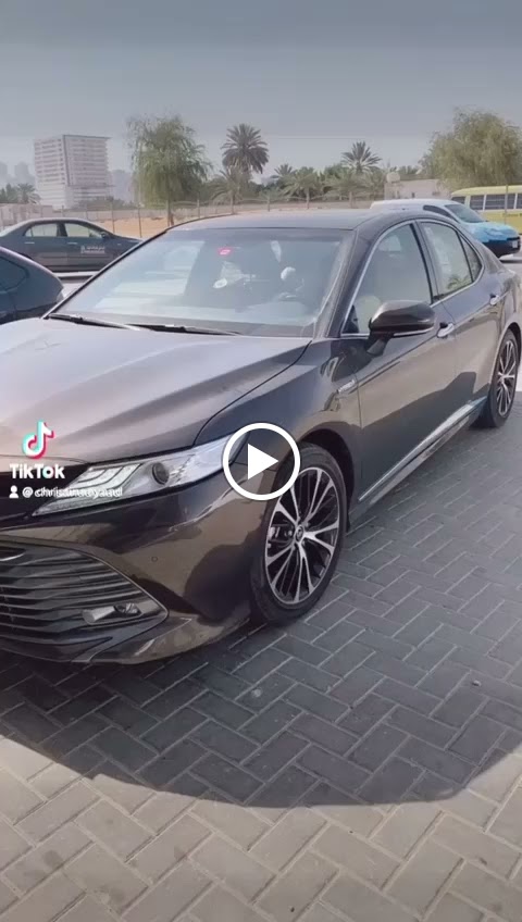 Al mustakbal pets care المستقبل للعنايه بالحيوانات الاليفه - صورة 3