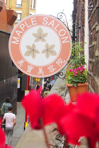 Maple Salon - Visual