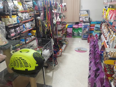 Photos of کلینیک دامپزشکی مرزداران- Marzdaran veterinary clinic