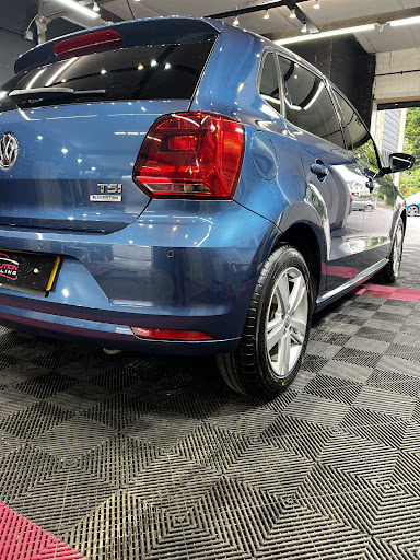 Evolution Detailing - Visual