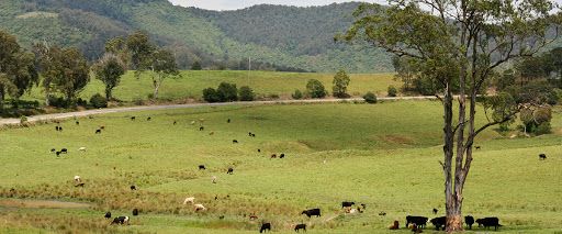 LJ Hooker Nambucca | Macksville - Thumbnail