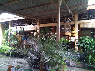 Photos of Damar Mas