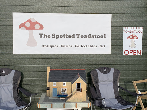 The Spotted Toadstool