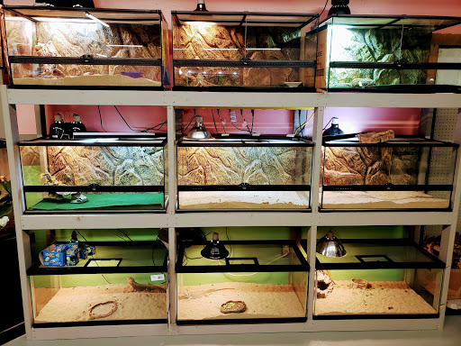 Fizards Aquatics & Exotics - Thumbnail