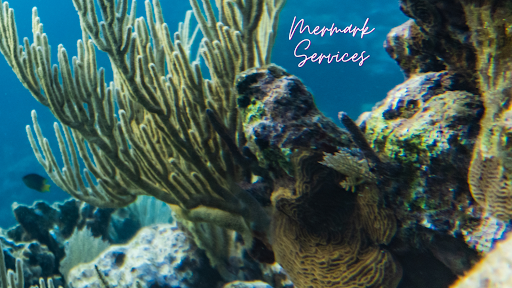 Mermark Aquarium Services - Thumbnail