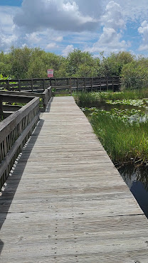 Miccosukee Indian Village by null