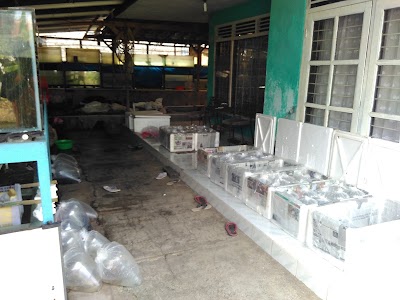 Photos of Rafa Farms