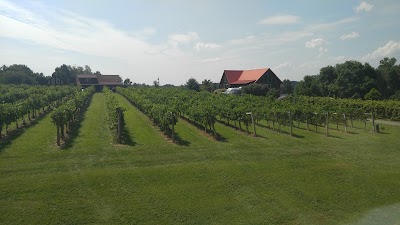 Dove Valley Vineyard