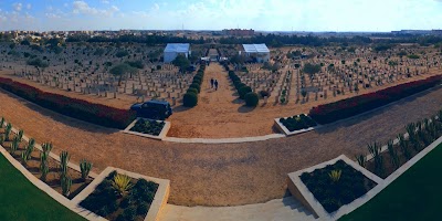 Photos of El Alamein War Cemetery