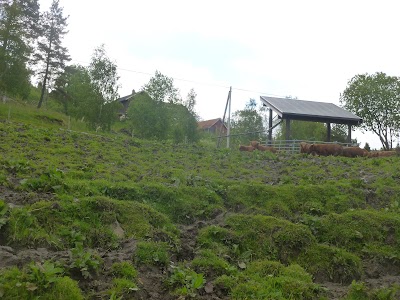 Photos of IMI St&oslash;len