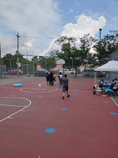 P.S. 66 Mini-Pitch - Thumbnail