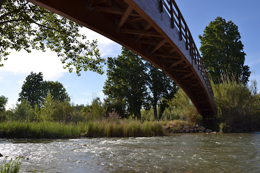 Fluvial Rio Turia - Thumbnail